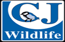 BirdFood.co.uk cash back